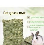 1 Animal Rabbit Grass Mat Breakers Toy Pet Rat Guinea Pig House boredom breaker