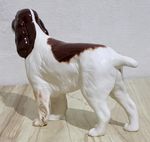 Beswick Large Cocker Spaniel Liver & White Gloss Finish by Arthur Gredington 967