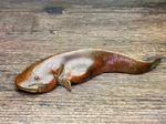 Japanese Collect Old Ancient bronze Exquisite fish