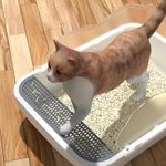 Extra Large Open Cat Litter Tray High Sided Deep Jumbo Rim Pan Box Loo Toilet