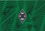Football - Borussia Monchengladbach - 2025/26 - Hand Signed A4 Photograph - COA