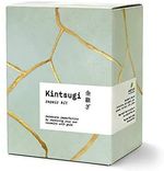 Kintsugi Repair Kit Repair Your Own Ceramics With Gold Glue Includes Two Beauti