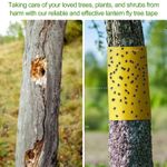 Double Sided Sticky Insect Barrier Tape Roll Garden Tree Pest Control