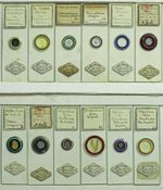 12 Antique Microscope Slides by Ward of Manchester - All Nicely Ringed