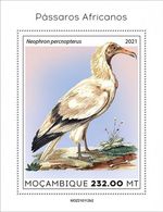 BIRDS OF AFRICA Egyptian Vulture Bird MNH 1v-Stamp Sheet #1911 (2021 Mozambique)