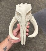Large Mythosaur skull wall decoration Star Wars book of boba Fett Mandalorian