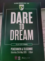 GUERNSEY V PEACEHAVEN  & TELSCOMBE 25 05 26 SOUTHERN COMBINATION PLAY OFF FINAL