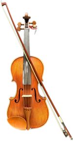Professional 4/4 Tonewood Violin with Free Oblong Case & Bow - Stock Clearance