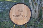 Macallan Scotch Whisky Barrel Lid/Head with Outside Metal Ring and Staves