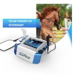 Equine Tecar Therapy Device Horse Diathermy Physiotherapy 448K Animal body Care