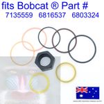 fits Bobcat Hydraulic LIFT CYLINDER ram Seal kit 7135559 773 S175 S185 S205 T190