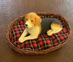 vintage beagle dog Liz on a mat and a basket 