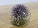 Hafod Grange lucite paperweight resin violet thistle flower 2001 Britain vintage