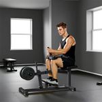 Seated Adjustable Leg Extension Machine with Plate Loaded