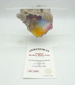 Original Piece of the Berlin Wall Authentic Souvenir from the Real Wall-XXL