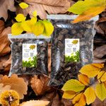 Hardwood Pieces Great for  Millipedes, Isopods, Snails, Insects Bio Active
