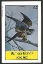 Bernera Islands Scotland, 1982, £2, Bird, MNH Imperf M/S Sheet #M1814