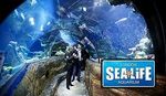 2 x Sea Life Tickets - Weymouth - Monday 15th November