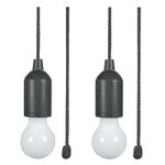 Lyyt LED Pull Light Portable Battery Powered Hanging Bulb 60 Lumens Pack of 2
