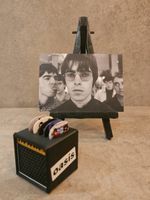 OASIS LIAM & NOEL GALLAGHER PLECTRUMS 0.7G DOUBLE SIDED x 5 + Art Card + 3d AMP