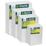 Inburit Canvas for Painting, 12 Pack Artist Canvases, Pre-Stretched Canvases 100
