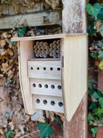 Solitary Mason Bee House with Observation Drawers (Standard bracket)
