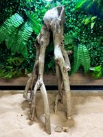 Talawa Wood Aquascaping Aquarium Bogwood  Reptile Vivarium Terrarium  Fish Tank