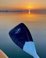 Beautiful Half Carbon Paddles - Paddleboard Paddle