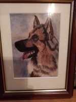 Original Dog Art German Shepherd -Alsation Drawing Picture Framed Signed 28x22.5