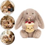 For Jellycat Bashful Beige Bunny Birthday Soft Stuffed Toys Free Dust Bag/Tag