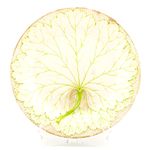 England Ceramic Plate Josiah Wedgwood Pearlware Enameled Cabbage Leaf 19thC