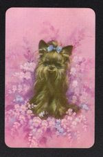 Vintage Swap Card - Beautiful Terrier with Bow (BLANK BACK)
