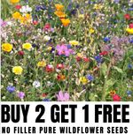 1Kg WILD FLOWER Mixed SEEDS MEADOW Scented Bee Annual/Perennial BUY 2 GET 1 FREE