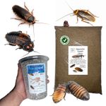Specialist Roach Chow Hydro Ball Dubia Hissing Cockroach Breeding Feeder Insect.