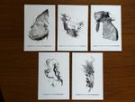 RARE  Coldplay Rush of Blood to the Head 20th Anniversary Set Of 5 Postcards NEW