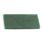 Karcher Cleaning Pad (Green) 6.999-103.0 - Genuine Karcher Part