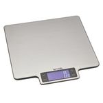 Taylor Professional Silver Large Digital Kitchen Food Scales l0kg  Dual Accuracy