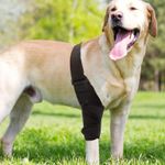 Dog Leg Support Brace With 10 Support Sticks Dog Front/Rear Leg Support 