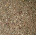 Giant African Land Snail Supplement food feed Protein mix Growth Shell Health