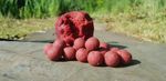 Boilies for carp fishing - A-Force boilies