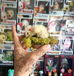 Taxidermied Mouse Pooping Emoji Poop 💩