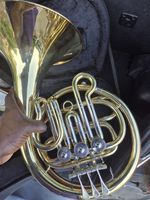 French horn with protective case