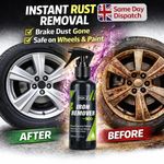 Car Iron Fallout Remover Spray 100ml Wheel Auto Rim Cleaner Brake Dust Rust Away