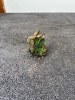 Antique Cold Painted Bronze Rabbit & Four-Leaf Clover Miniature Figurine