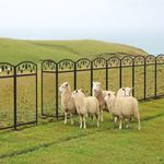 Heavy Duty Folding Puppy Dog Cat Play Pen Run Enclosure Extra Tall Barrier Fence
