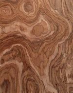 Hazel Burl SaRaiFo burr wood veneer with fleece 250x30-31cm