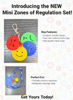 Mini Zones of Regulation Keychain Keyring 4 Emotional Regulation (varient 1)