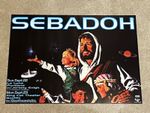 Sebadoh Poster - Portland And Seattle dates, 1996 (Frank koziak)(16 x 22 inches)