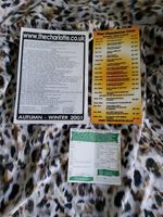 Echobelly Princess Charlotte 2x Diff Flyers And Bmg Mail Off Insert 2001
