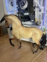 Breyer Traditional cossaco lusitano #1885 2024